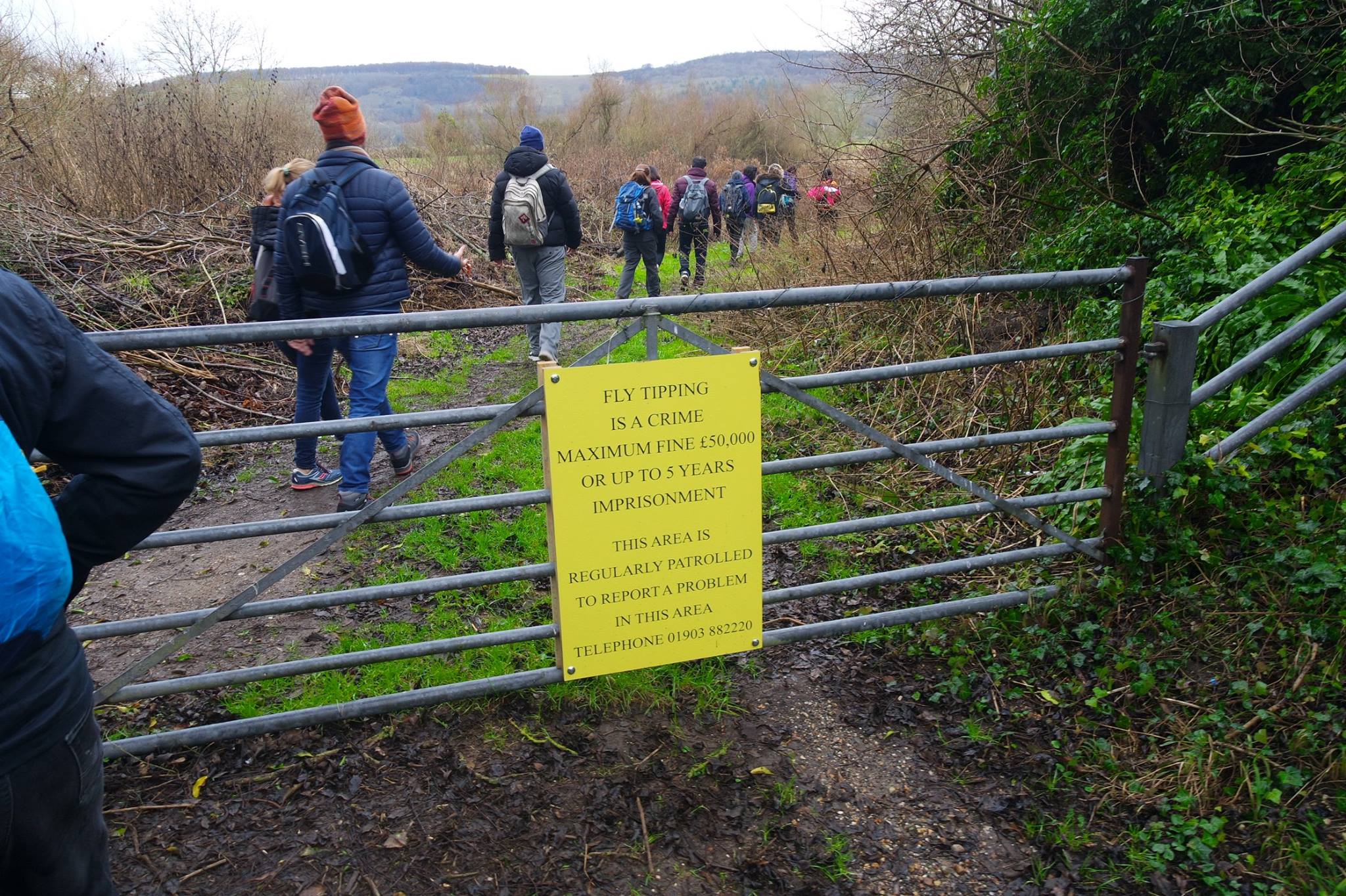 No cow tipping sign but cow tipping allowed hike to Arundel West Sussex England
