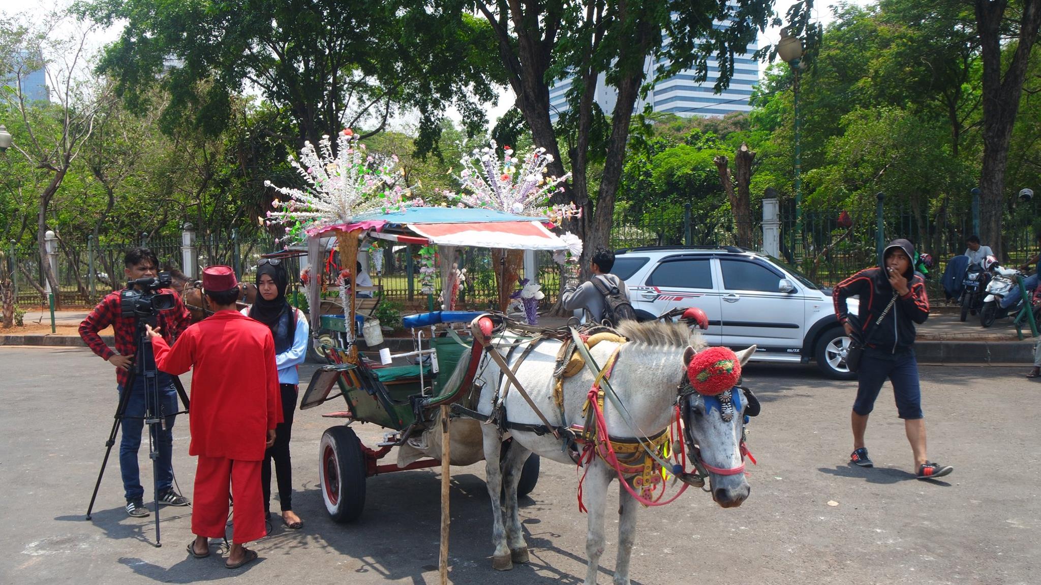 Local tourist ride Jakarta Indonesia horse cart