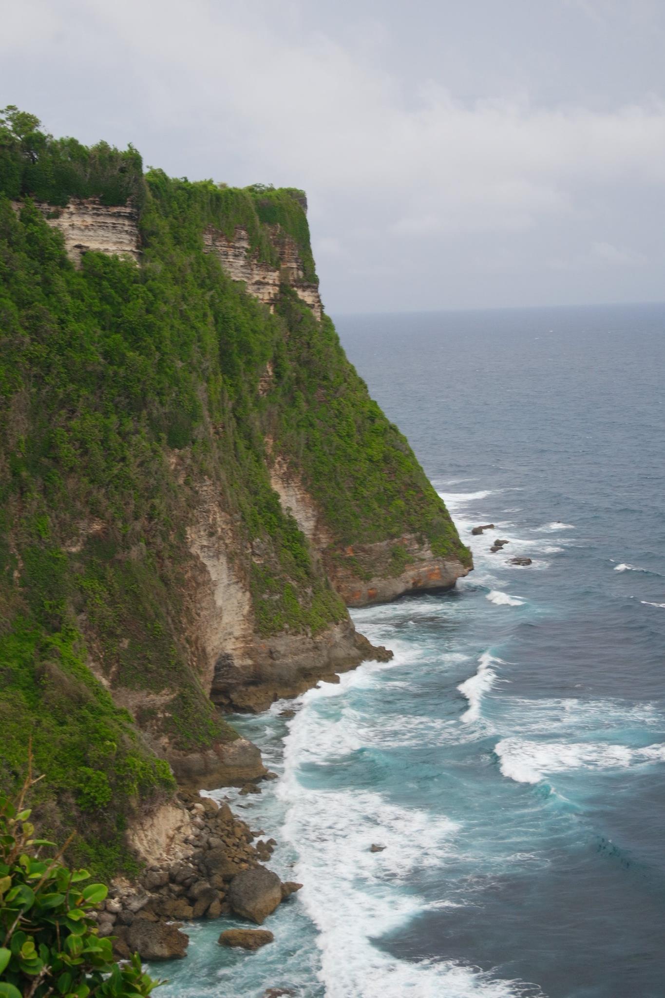 Trying to avoid biting monkeys at Uluwatu temple Bali