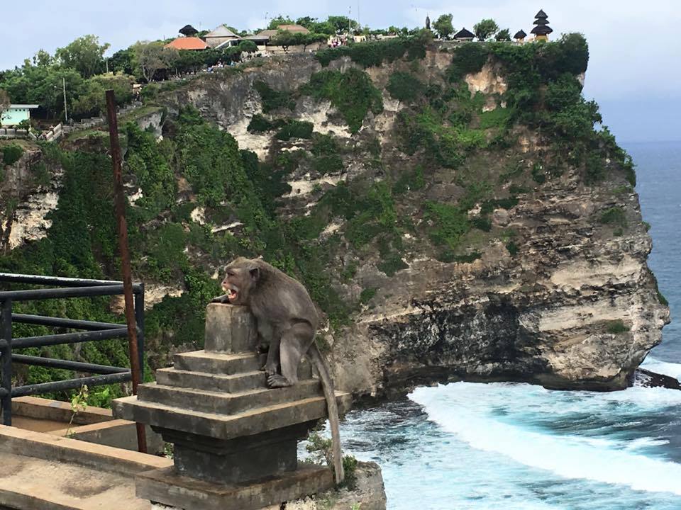Uluwatu Temple far south end of island monkeys everywhere Bali