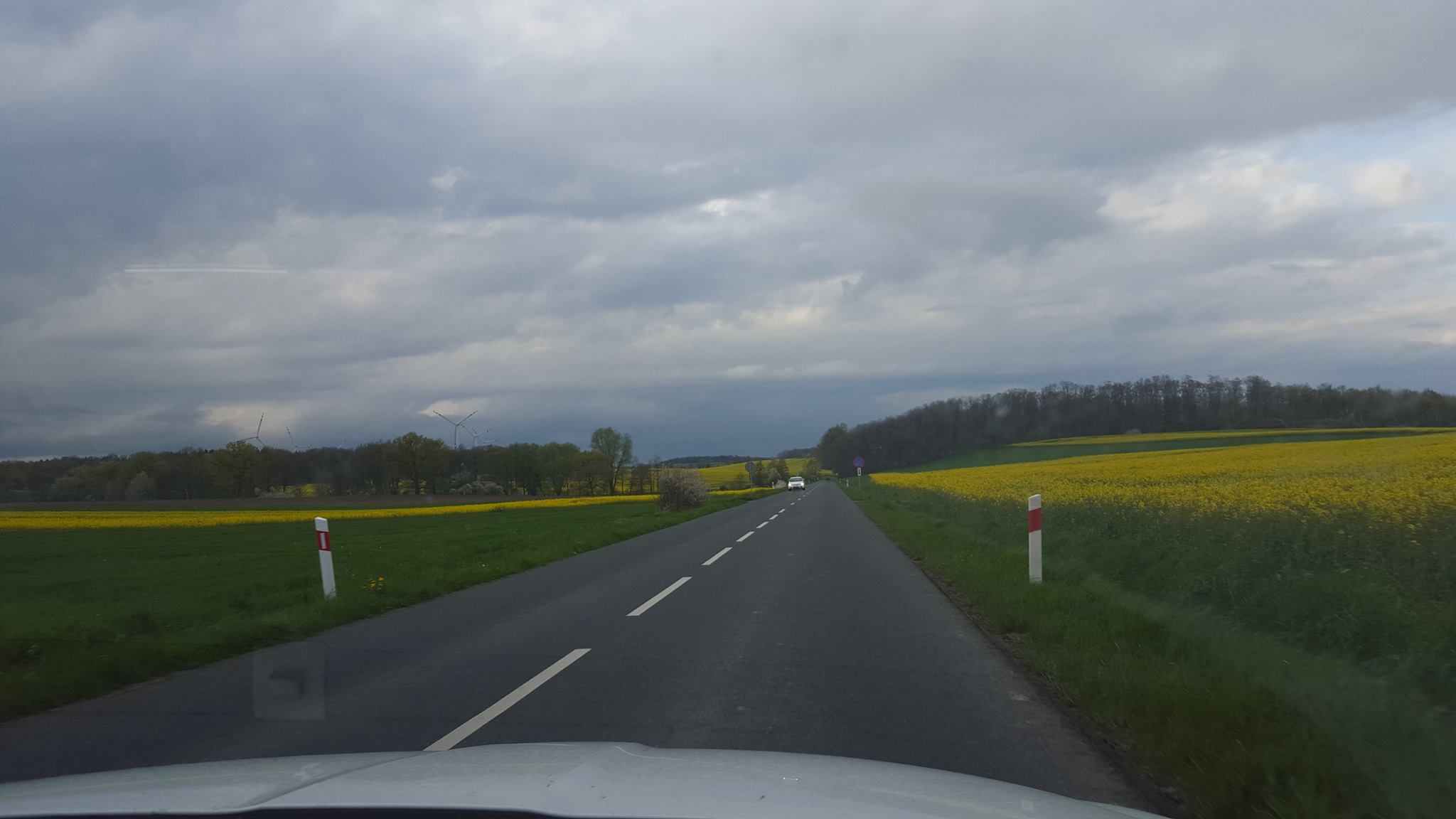 Southwest Polish countryside Lubin