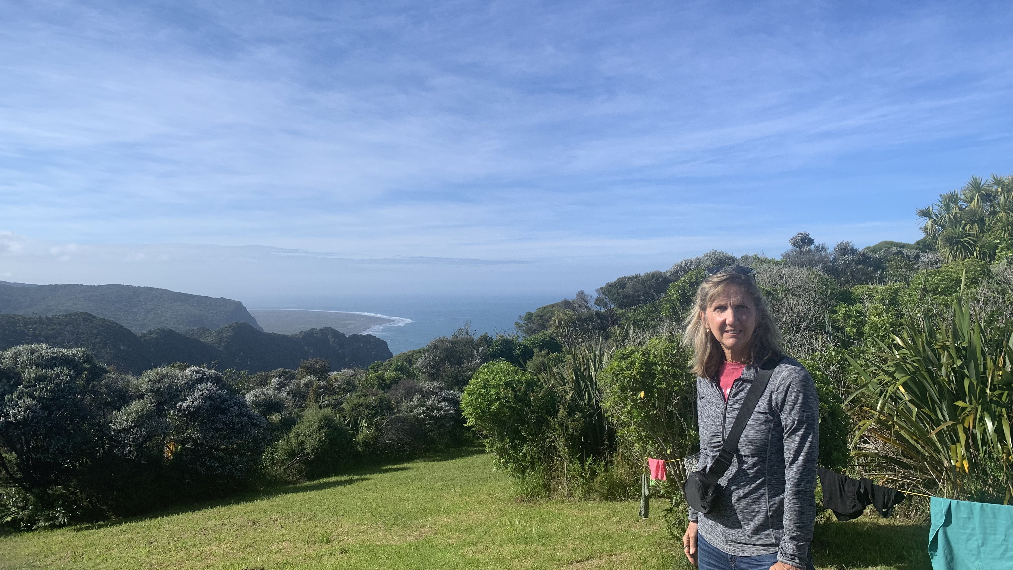 Waitakere Ranges Regional Park Auckland coastal cliffs