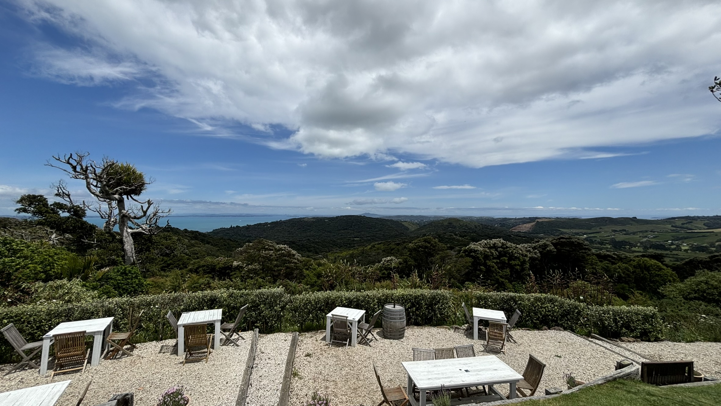 Waiheke Island New Zealand vineyard