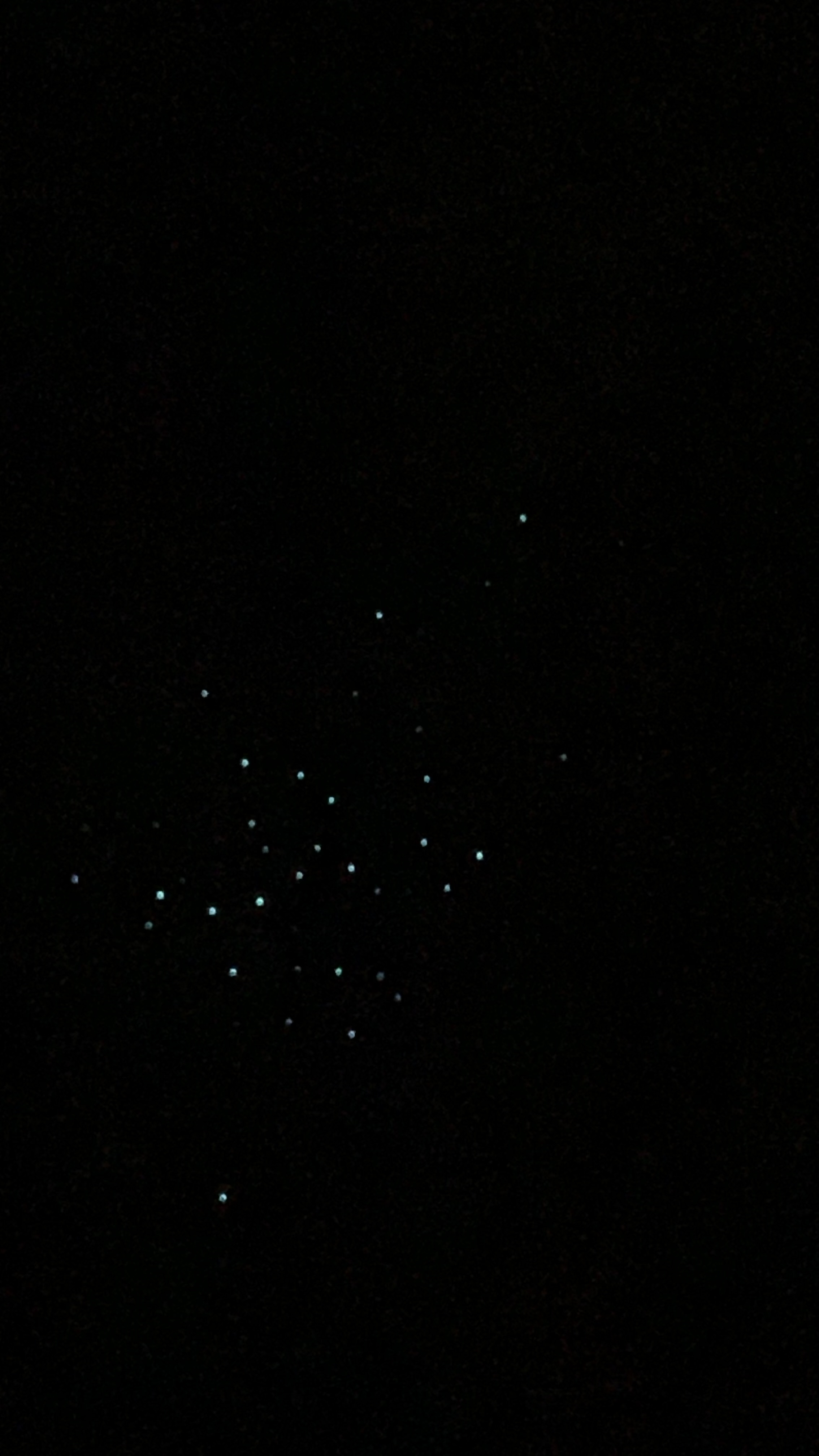 Glowworms Ruakuri Cave Waitomo NZ