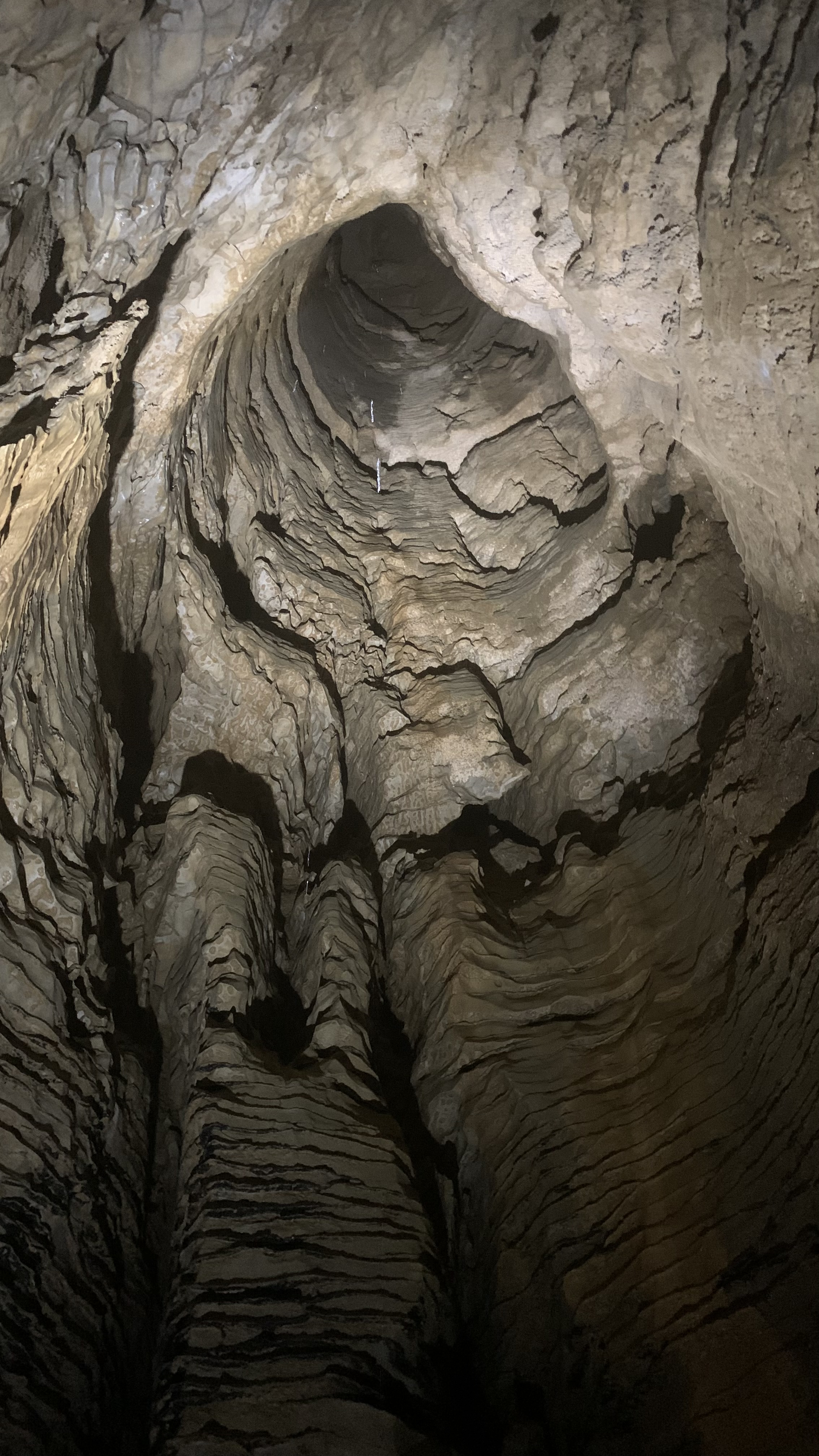 Limestone formations Ruakuri Cave NZ