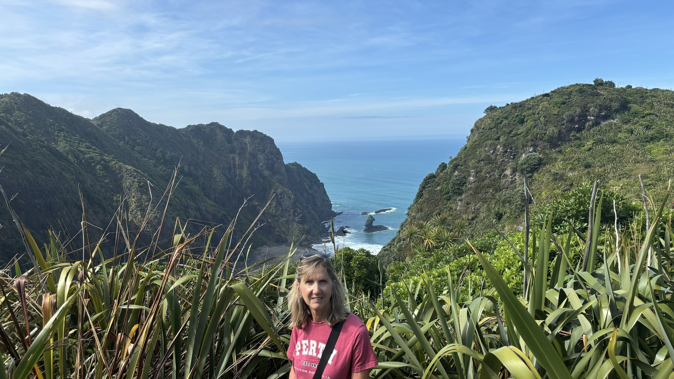 Waitakere Ranges cliff walk Tasman Sea Auckland NZ