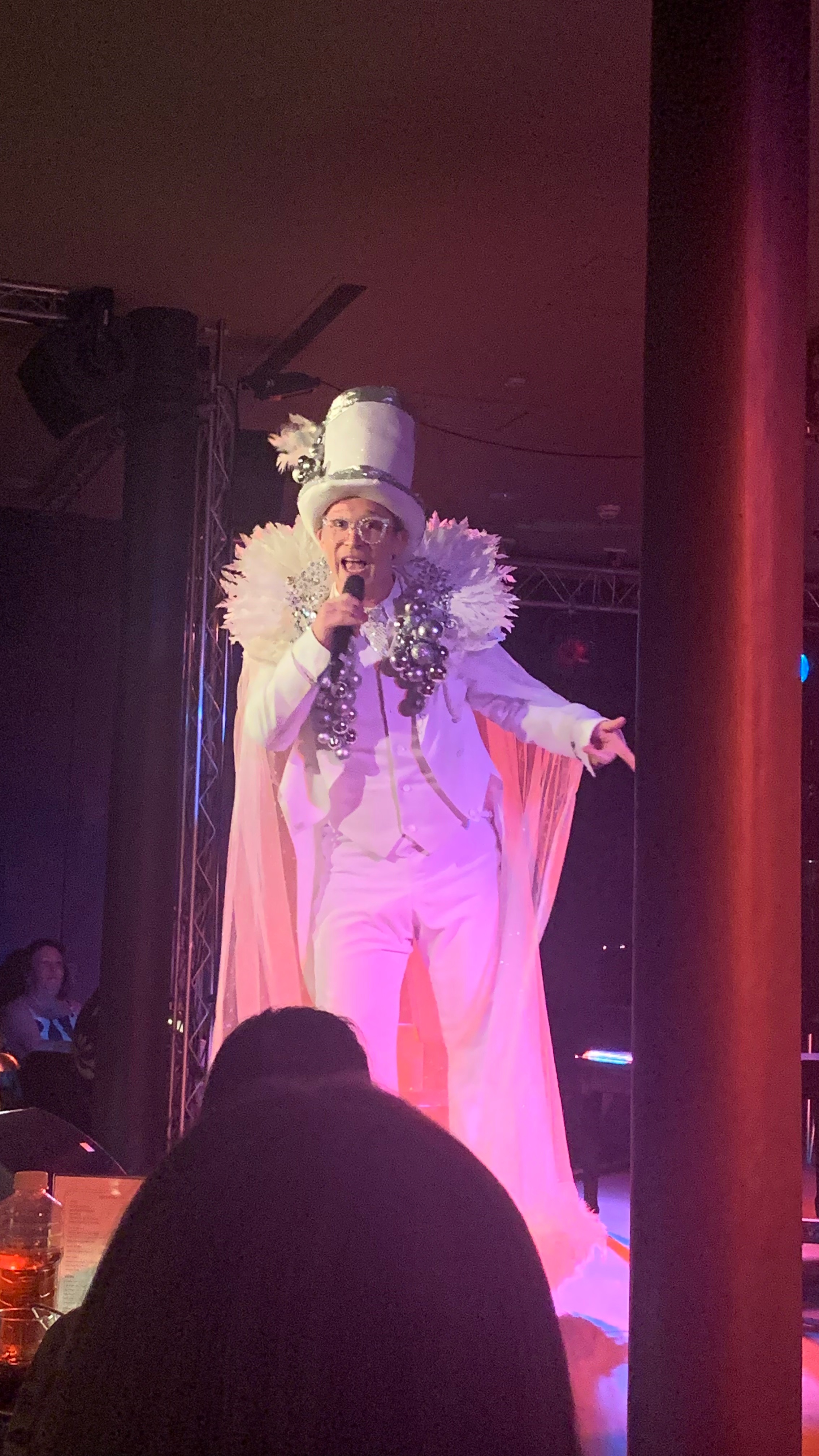 Fake Elton John Perth Fringe