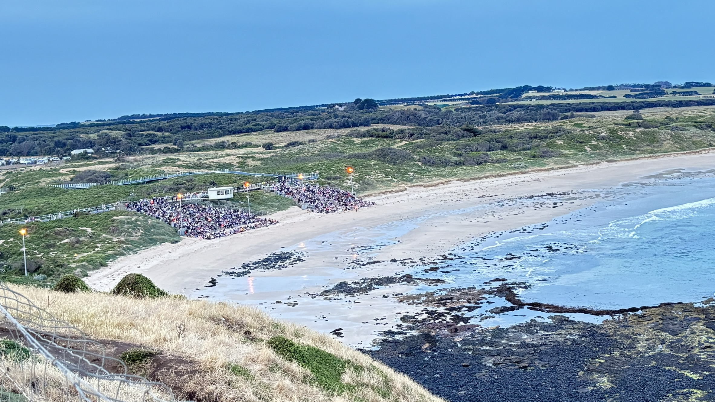 Penguin beach Philip Island parade Victoria