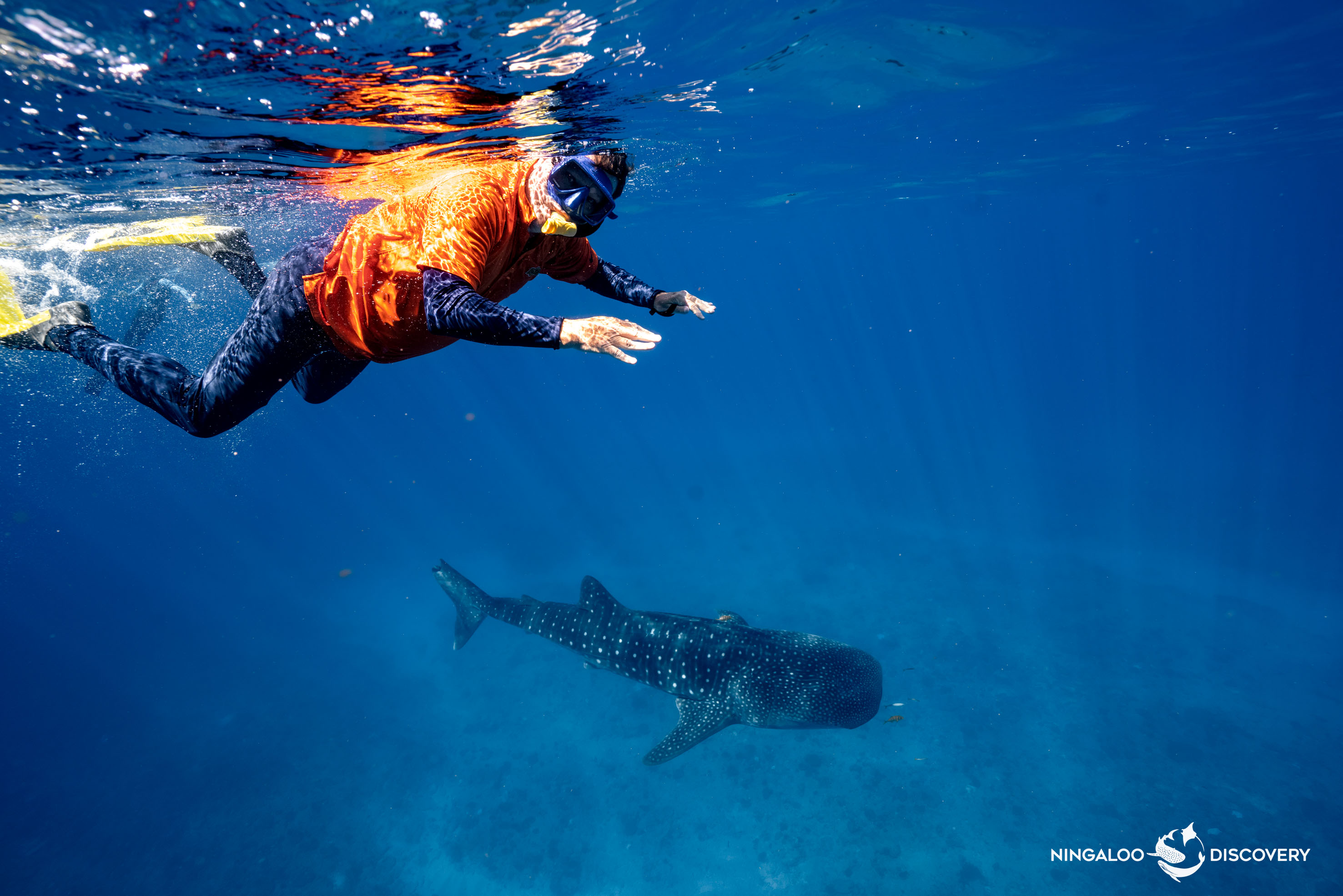 Ningaloo Reef Exmouth Western Australia snorkelling