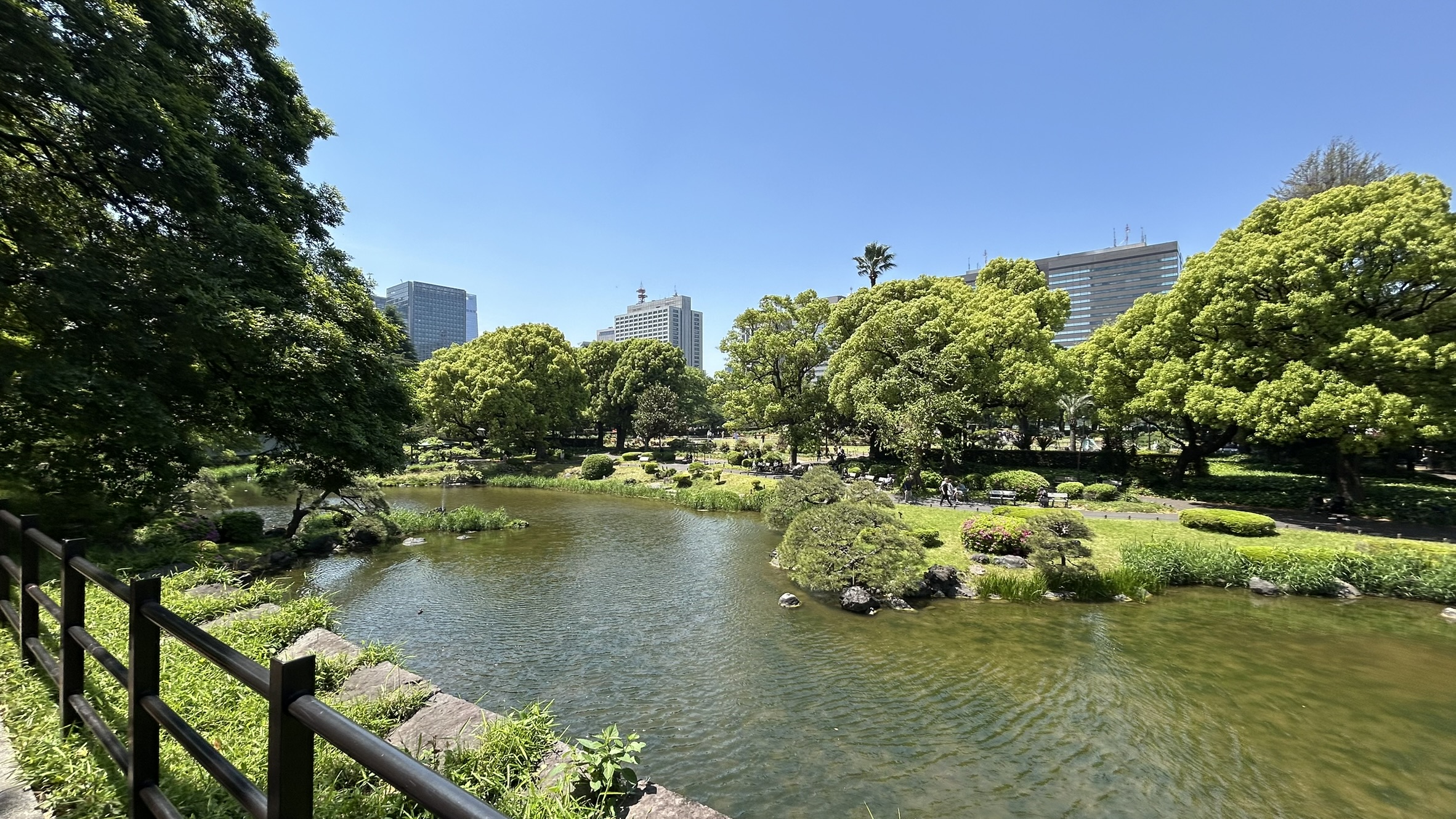 Hibiya Park Tokyo turtle spotting