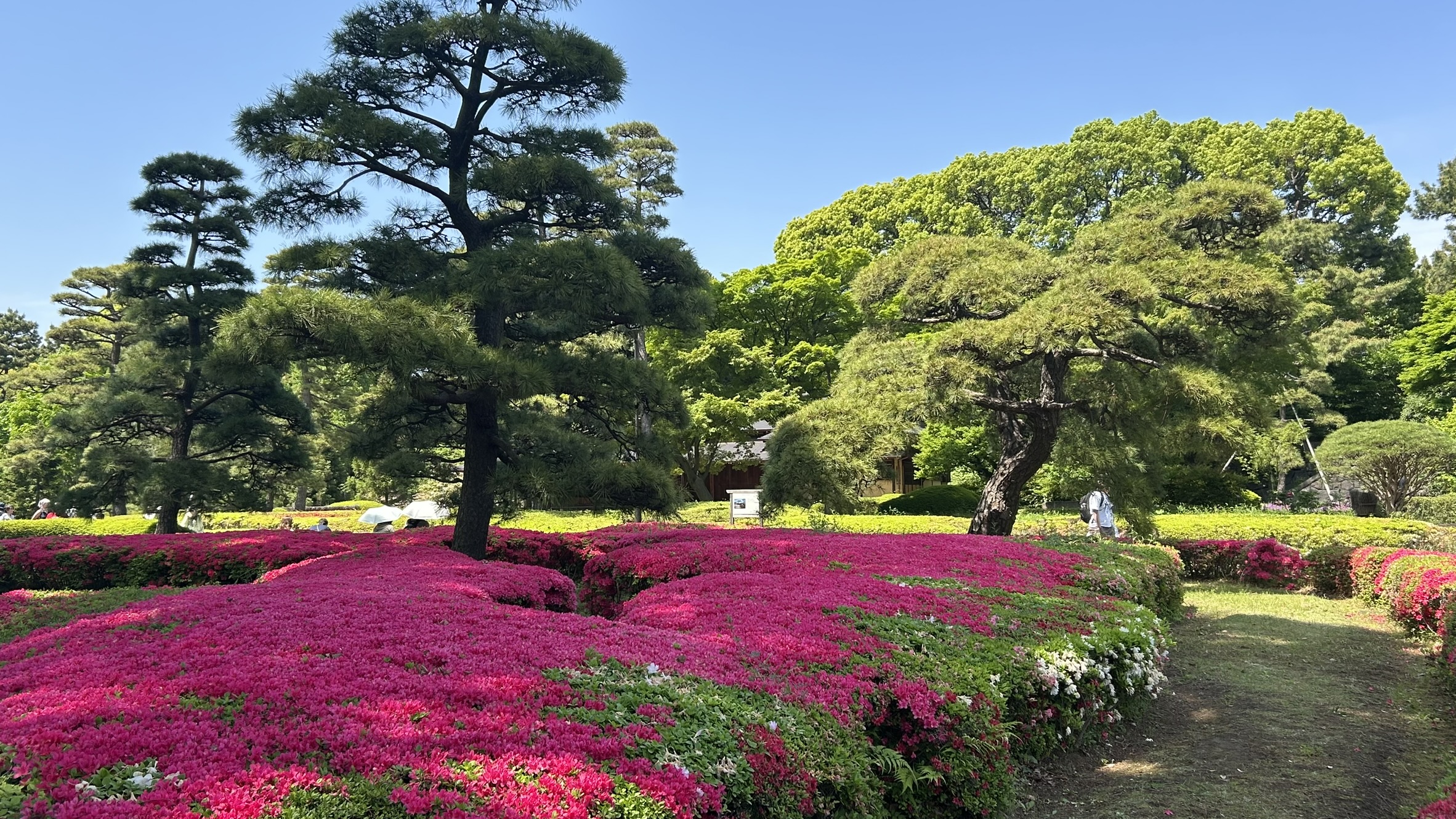 Imperial Palace inner gardens Tokyo usually closed