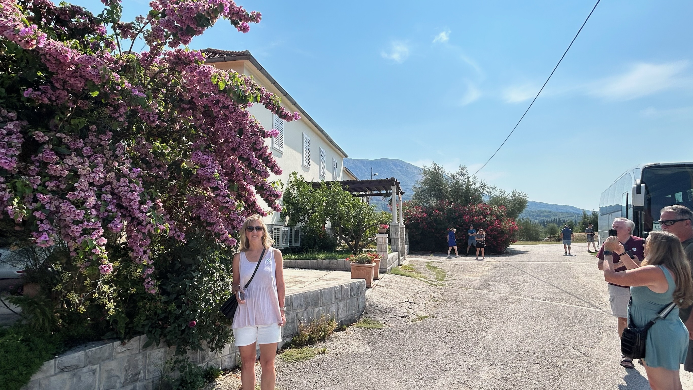Winery Brajkovic grounds