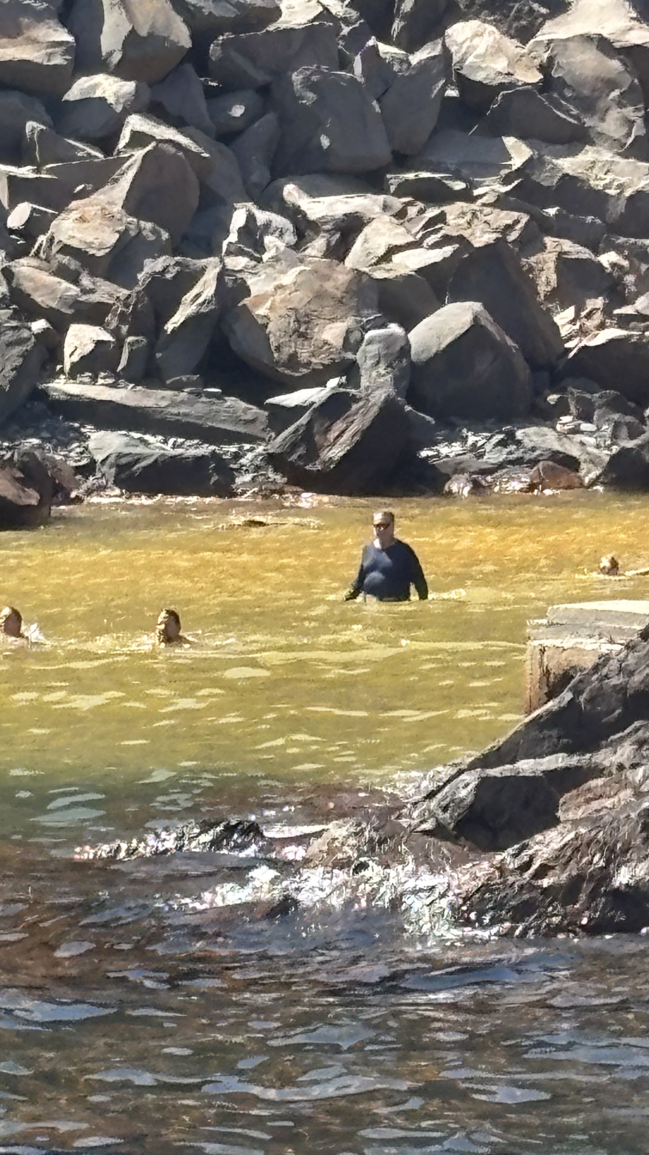 Nea Kameni from the water