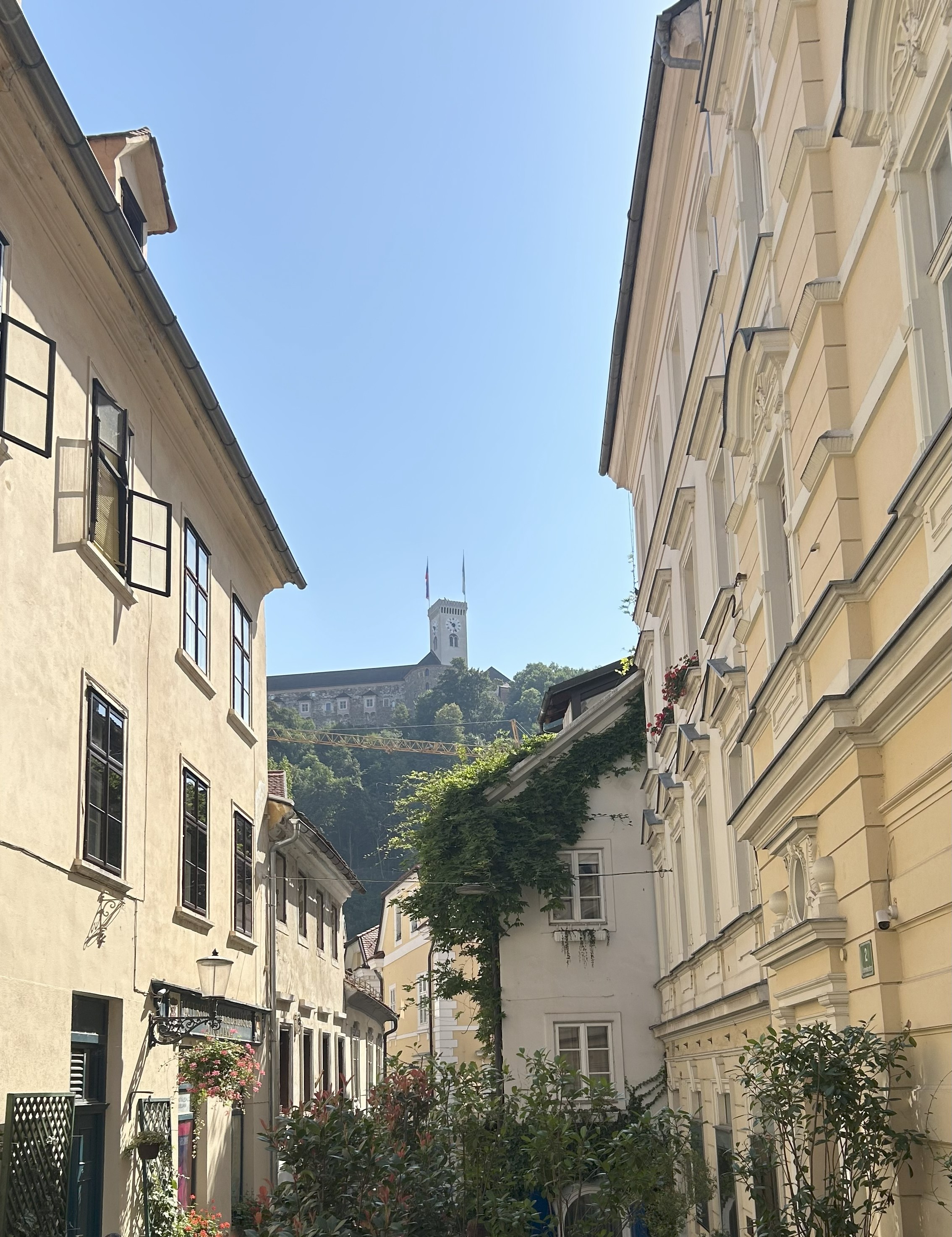 Castle above Ljubljana Slovenia