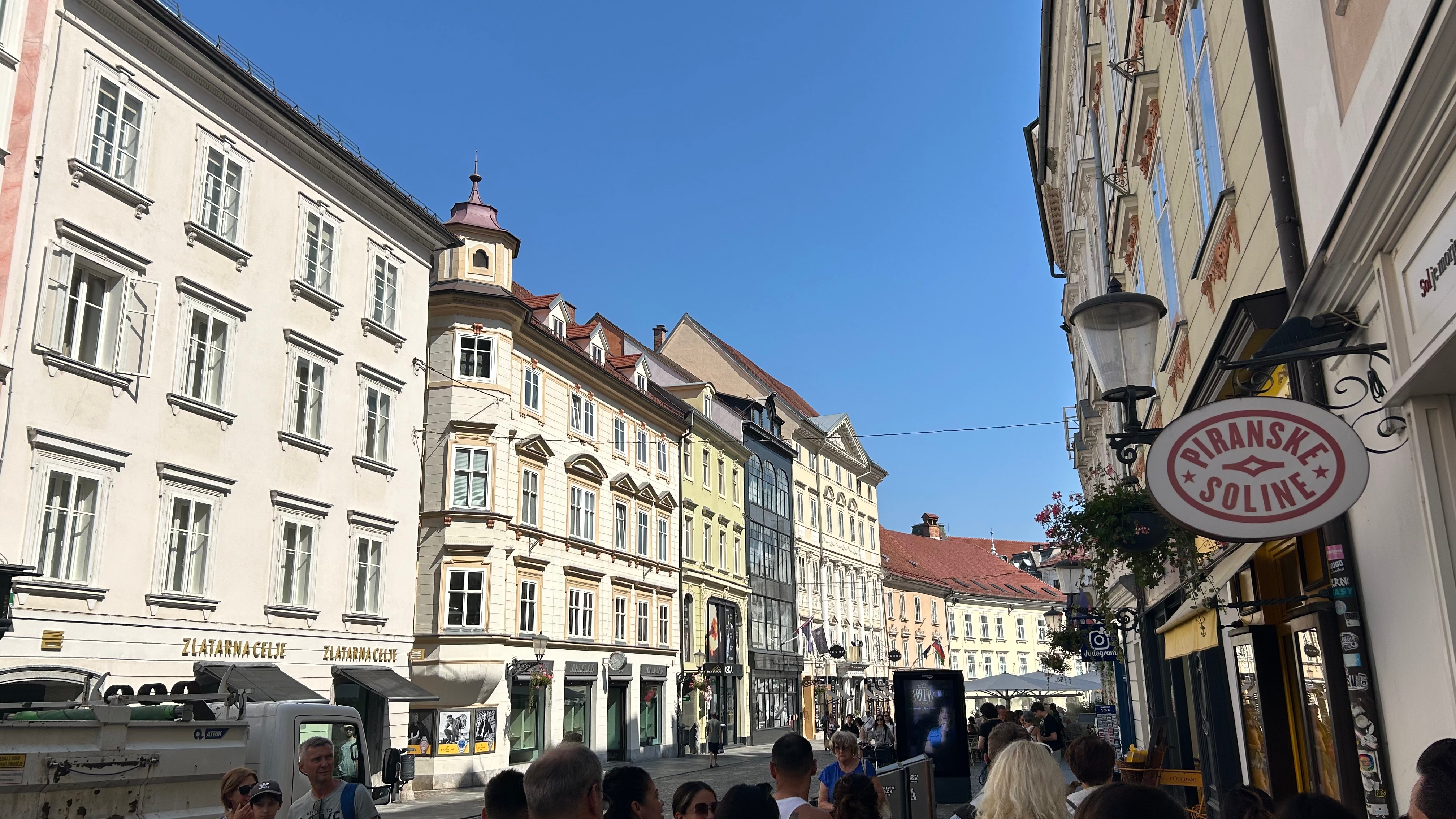 Hawk landing in famous local restaurant Ljubljana